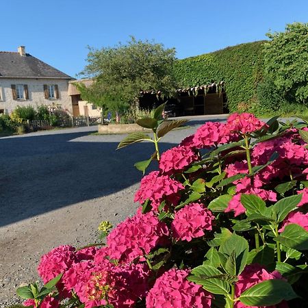 Le Moulin De La Fosse Soucy "La Maison Du Meunier" Villa Maisons  Exterior photo